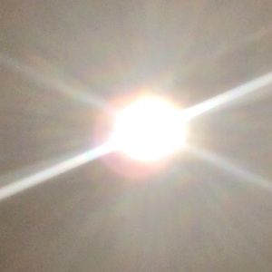 Meet your Posher, Karla